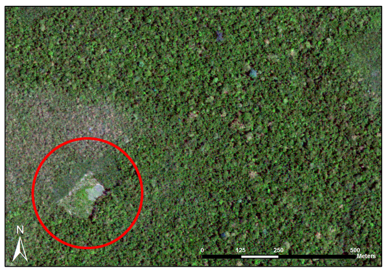 Illustration for article titled Un joven de 15 años descubre una ciudad maya perdida usando datos astronómicos y Google Earth